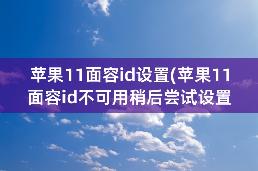 苹果11面容id设置(苹果11面容id不可用稍后尝试设置)