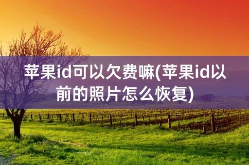 苹果id可以欠费嘛(苹果id以前的照片怎么恢复)