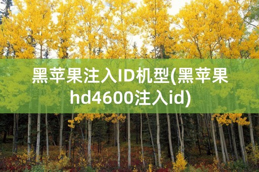 黑苹果注入ID机型(黑苹果hd4600注入id)