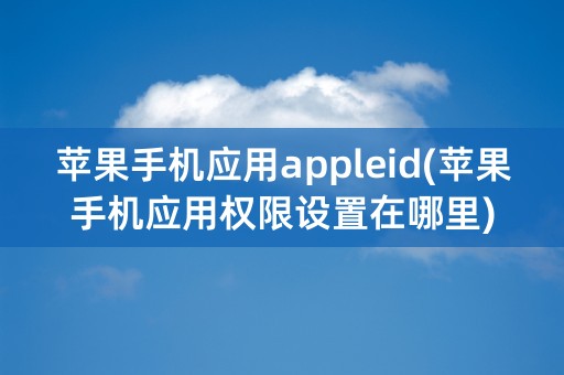 苹果手机应用appleid(苹果手机应用权限设置在哪里)