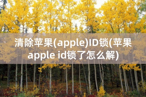 清除苹果(apple)ID锁(苹果apple id锁了怎么解)