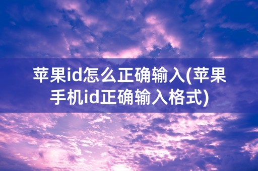 苹果id怎么正确输入(苹果手机id正确输入格式)