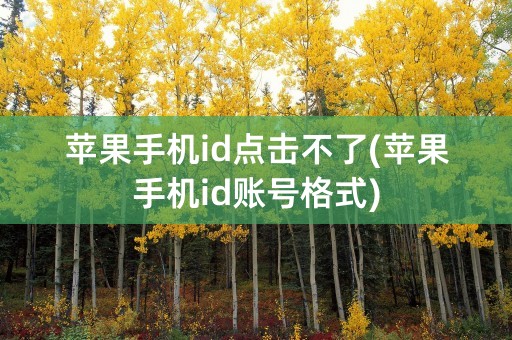 苹果手机id点击不了(苹果手机id账号格式)