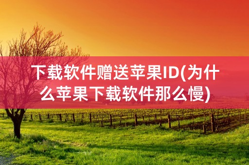 下载软件赠送苹果ID(为什么苹果下载软件那么慢)