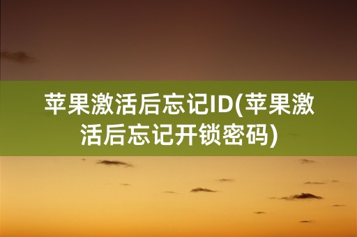 苹果激活后忘记ID(苹果激活后忘记开锁密码)