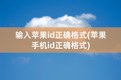 输入苹果id正确格式(苹果手机id正确格式)