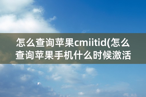 怎么查询苹果cmiitid(怎么查询苹果手机什么时候激活的)