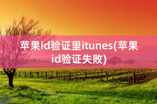 苹果id验证里itunes(苹果id验证失败)