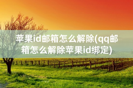 苹果id邮箱怎么解除(qq邮箱怎么解除苹果id绑定)