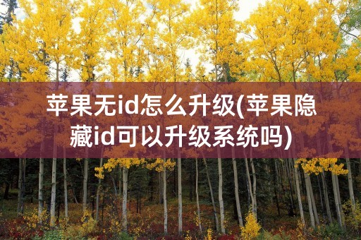 苹果无id怎么升级(苹果隐藏id可以升级系统吗)