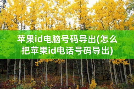 苹果id电脑号码导出(怎么把苹果id电话号码导出)