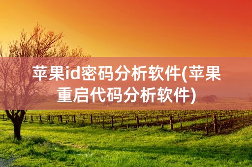 苹果id密码分析软件(苹果重启代码分析软件)