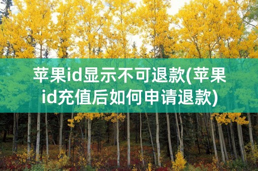 苹果id显示不可退款(苹果id充值后如何申请退款)