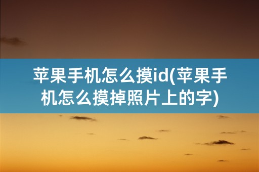 苹果手机怎么摸id(苹果手机怎么摸掉照片上的字)