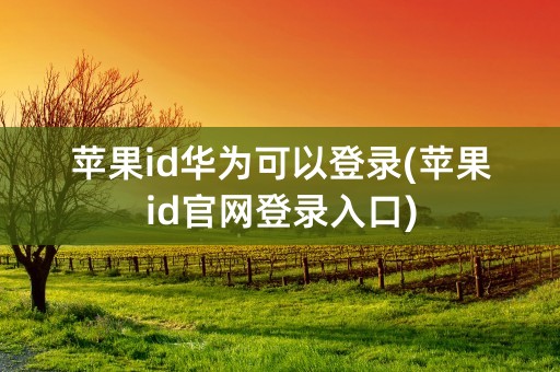 苹果id华为可以登录(苹果id官网登录入口)