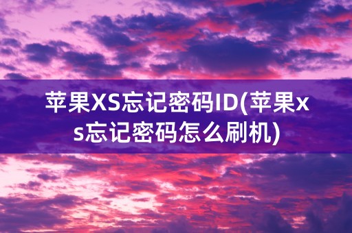 苹果XS忘记密码ID(苹果xs忘记密码怎么刷机)