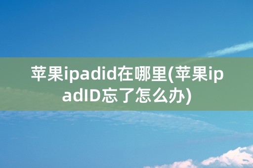 苹果ipadid在哪里(苹果ipadID忘了怎么办)