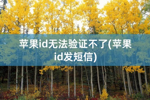 苹果id无法验证不了(苹果id发短信)