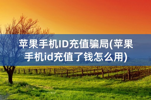 苹果手机ID充值骗局(苹果手机id充值了钱怎么用)