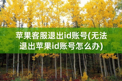 苹果客服退出id账号(无法退出苹果id账号怎么办)