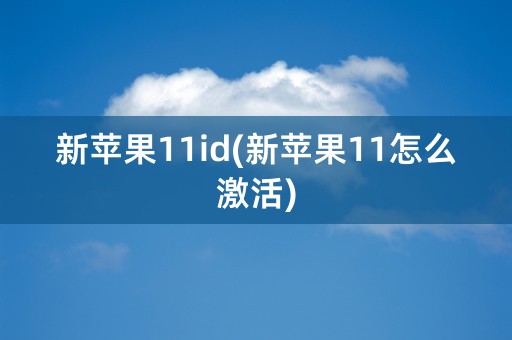 新苹果11id(新苹果11怎么激活)