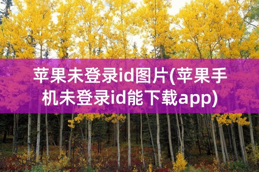 苹果未登录id图片(苹果手机未登录id能下载app)