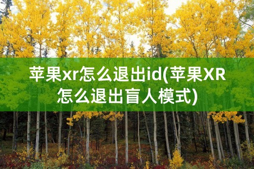 苹果xr怎么退出id(苹果XR怎么退出盲人模式)