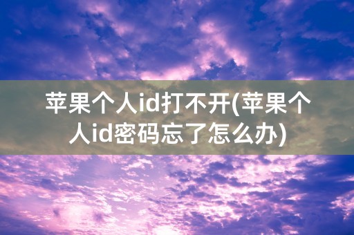 苹果个人id打不开(苹果个人id密码忘了怎么办)