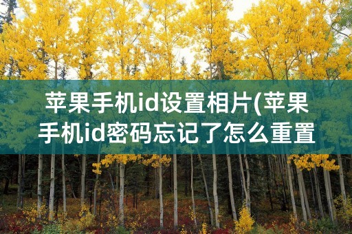 苹果手机id设置相片(苹果手机id密码忘记了怎么重置)