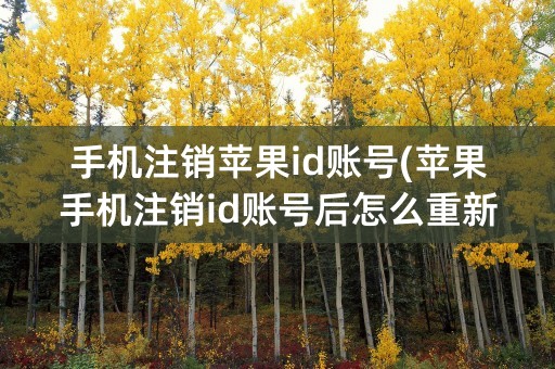 手机注销苹果id账号(苹果手机注销id账号后怎么重新申请)