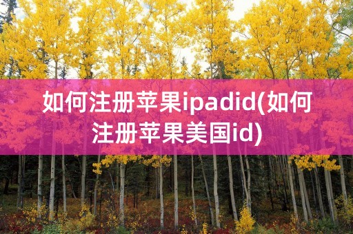 如何注册苹果ipadid(如何注册苹果美国id)