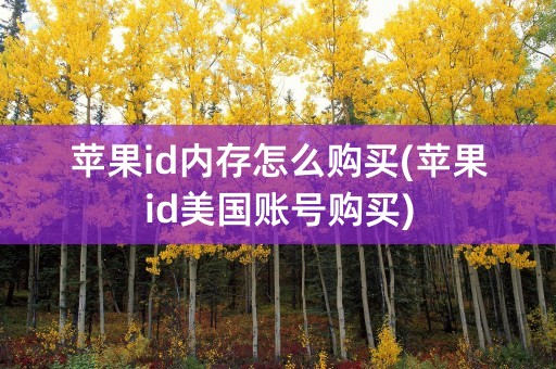 苹果id内存怎么购买(苹果id美国账号购买)