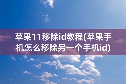 苹果11移除id教程(苹果手机怎么移除另一个手机id)