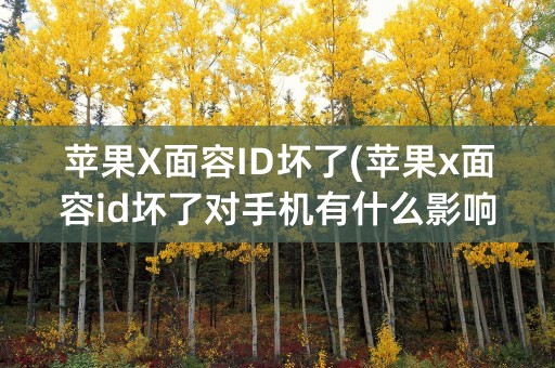 苹果X面容ID坏了(苹果x面容id坏了对手机有什么影响)