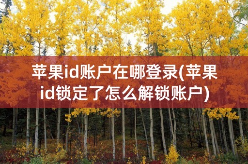 苹果id账户在哪登录(苹果id锁定了怎么解锁账户)