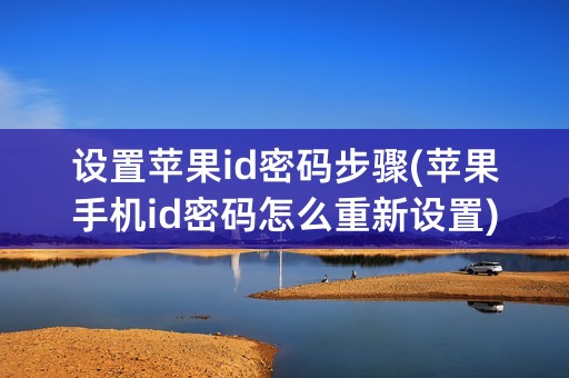 设置苹果id密码步骤(苹果手机id密码怎么重新设置)