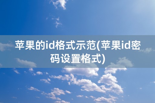 苹果的id格式示范(苹果id密码设置格式)