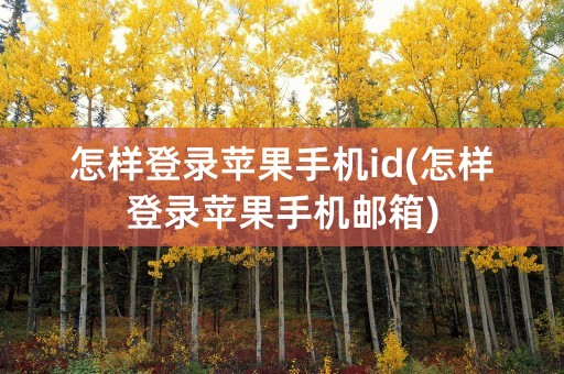 怎样登录苹果手机id(怎样登录苹果手机邮箱)