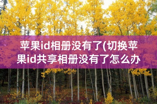 苹果id相册没有了(切换苹果id共享相册没有了怎么办)