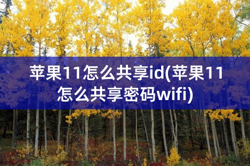 苹果11怎么共享id(苹果11怎么共享密码wifi)