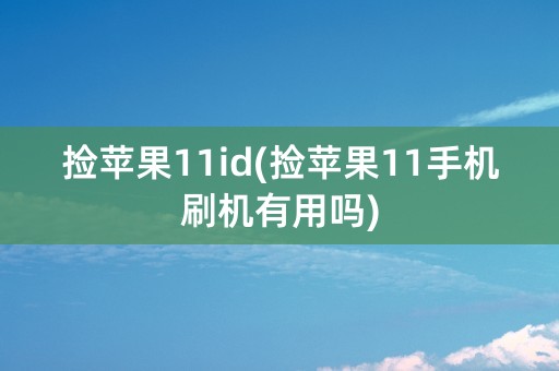 捡苹果11id(捡苹果11手机刷机有用吗)