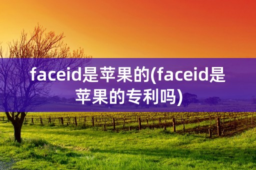 faceid是苹果的(faceid是苹果的专利吗)