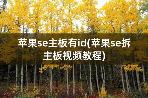 苹果se主板有id(苹果se拆主板视频教程)