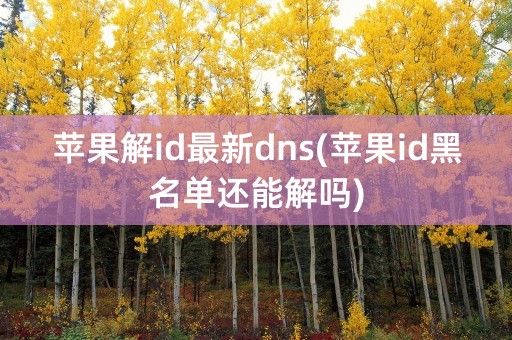 苹果解id最新dns(苹果id黑名单还能解吗)