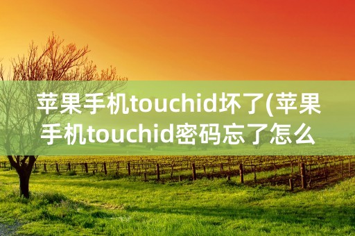 苹果手机touchid坏了(苹果手机touchid密码忘了怎么办)