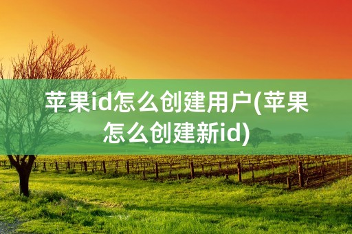 苹果id怎么创建用户(苹果怎么创建新id)