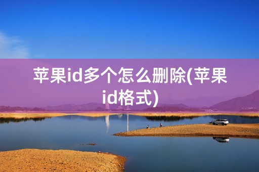 苹果id多个怎么删除(苹果id格式)