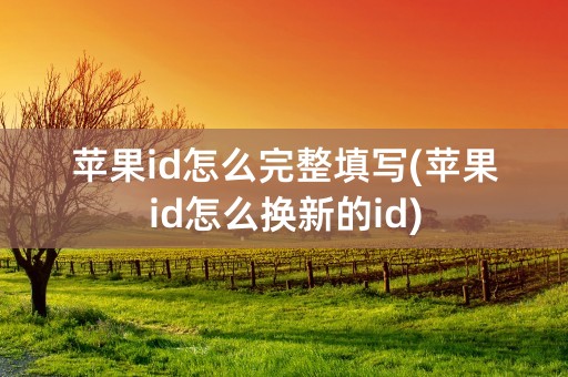 苹果id怎么完整填写(苹果id怎么换新的id)