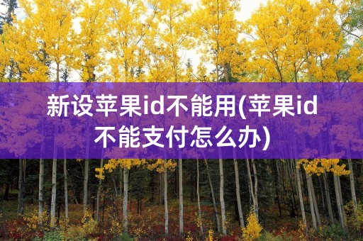 新设苹果id不能用(苹果id不能支付怎么办)