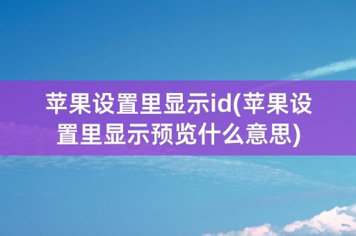 苹果设置里显示id(苹果设置里显示预览什么意思)